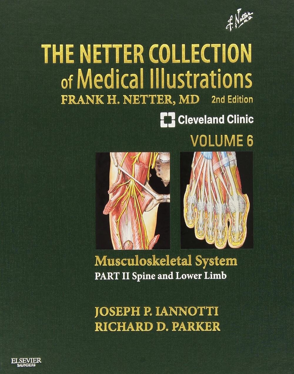 The Netter Collection of Medical Illustrations: Musculoskeletal System